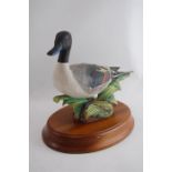 A Crown Staffordshire Wild Fowl by Peter Scott 1974 Pintail, signed J. Bronley