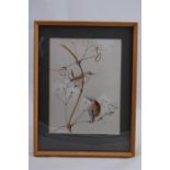 PETER GILL Water Colour of Two Wrens, Signed Top Right