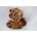 A Continental Gilded Head of a Putti