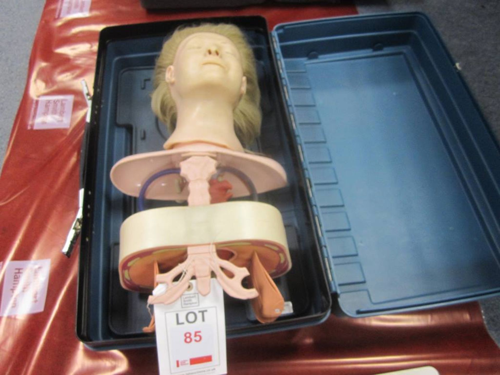 Adult CPR training manikin and case