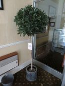 Two artificial indoor trees