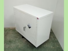 Unknown Proprietary Coated Steel Corrosives Cabinet with Two Level Storage, Two storage level,