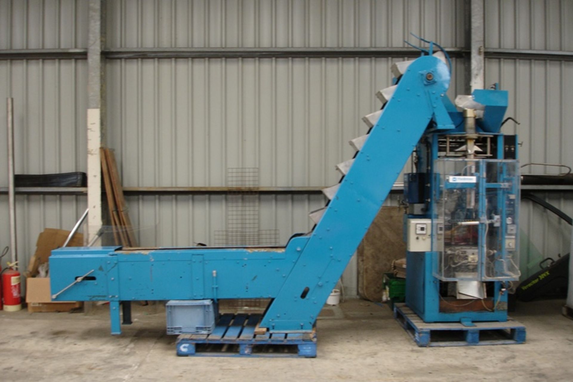 Maidstone VFFS Machine with Bucket Elevator Infeed