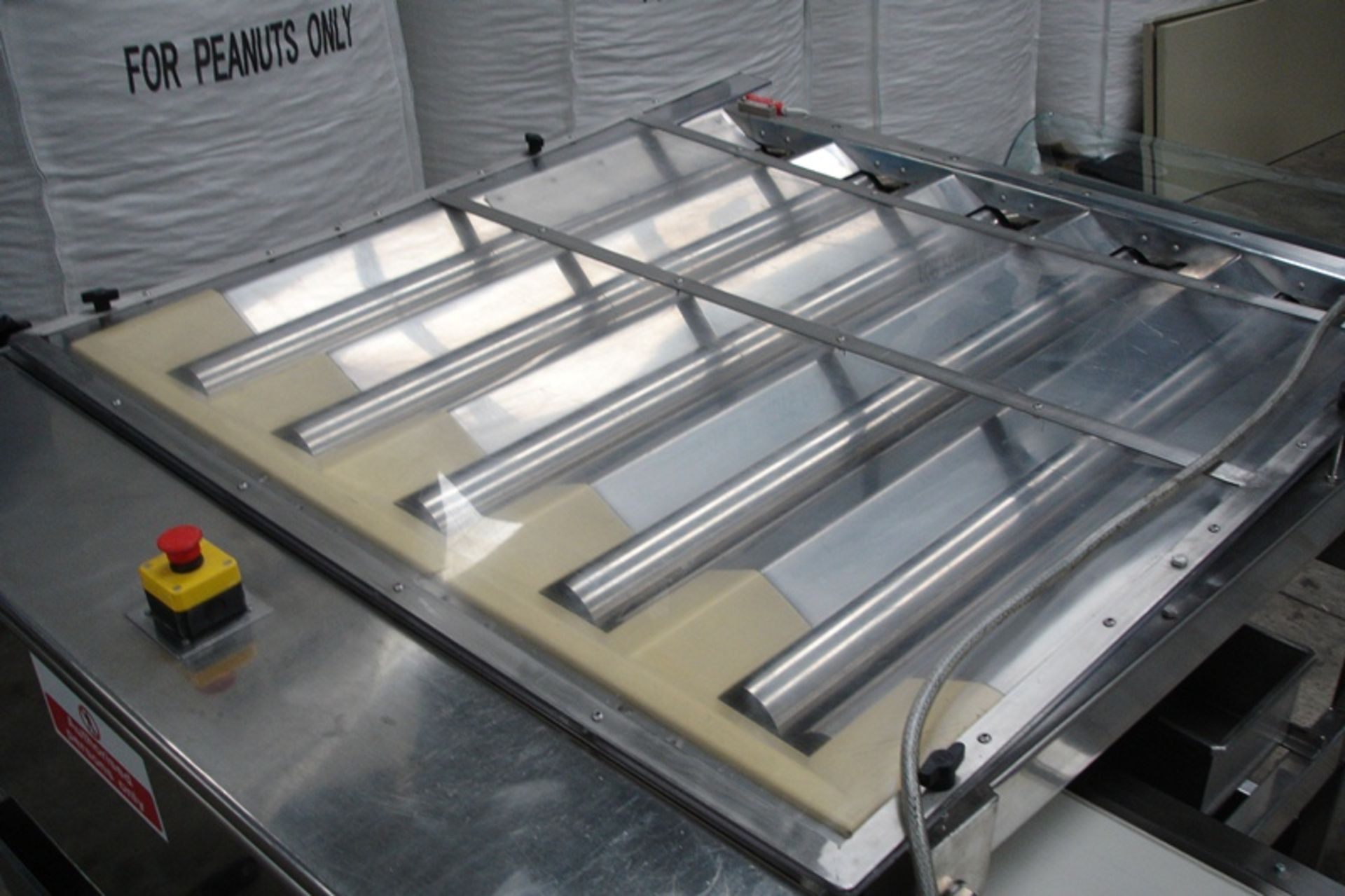 Fully Stainless Steel food grade 5 Lane Sizing / Grading Machine with Outfeed - Image 2 of 7