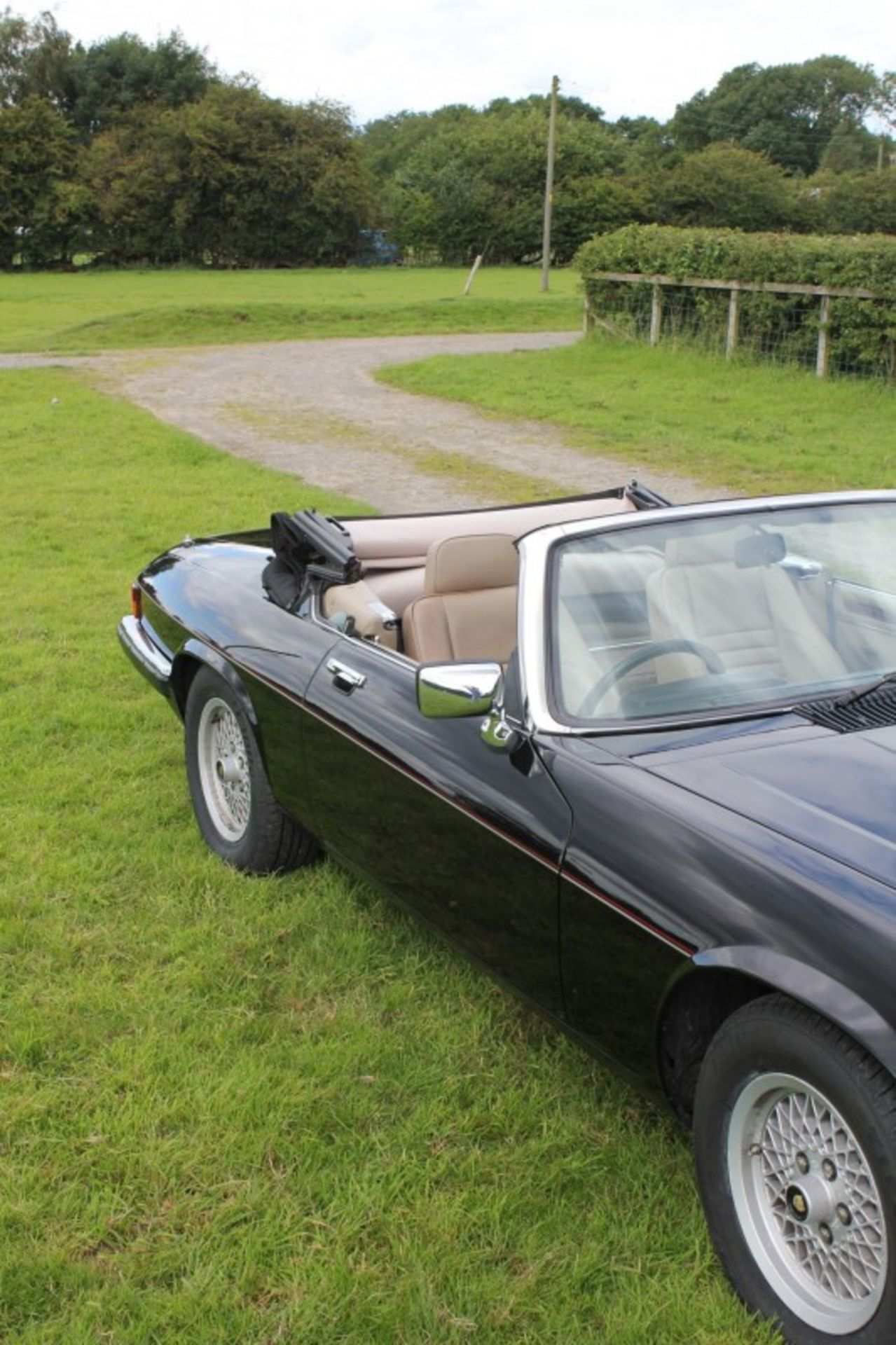 Jaguar XJS Convertible 1989 5.3 V12 - Image 3 of 8