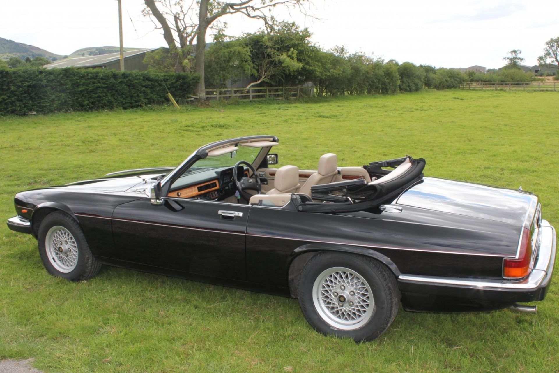 Jaguar XJS Convertible 1989 5.3 V12 - Image 5 of 8