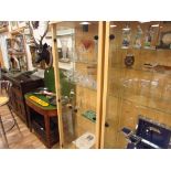 Glass display cabinet with adjustable shelves