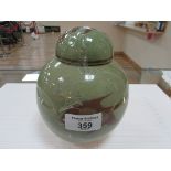 Chinese ginger jar
