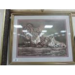 Framed print of lions