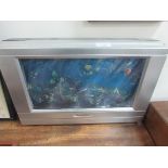 Virtual vision fish display screen