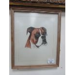 Framed signed watercolour of Boxer dog