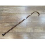 Silver rimmed walking stick