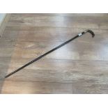 Silver rimmed walking stick