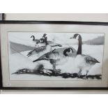 Framed Canadian geese picture signed