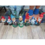 7 garden gnomes