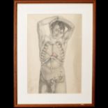 Three original prints from the First Edition of Surgical Anatomy by Joseph Maclise 1851,