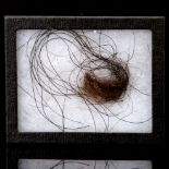 Mammoth Hair,