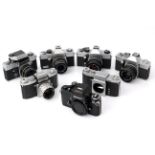 A Selection of Various SLR Cameras / Bodies,