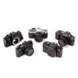 Various SLR Cameras & Bodies,