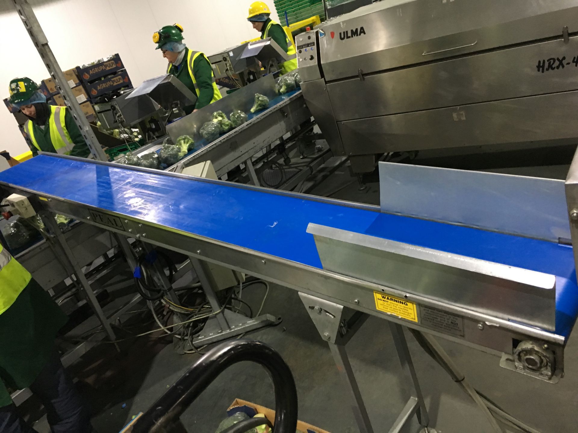 Peal Conveyor. 400mm wide x 2700mm long LIFT OUT £25