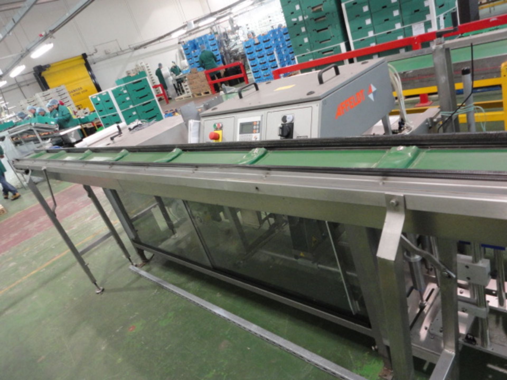 Affeldt model AVN 691 apple bagging machine with infeed conveyor approx. 4150mm long x 170mm wide - Image 3 of 6
