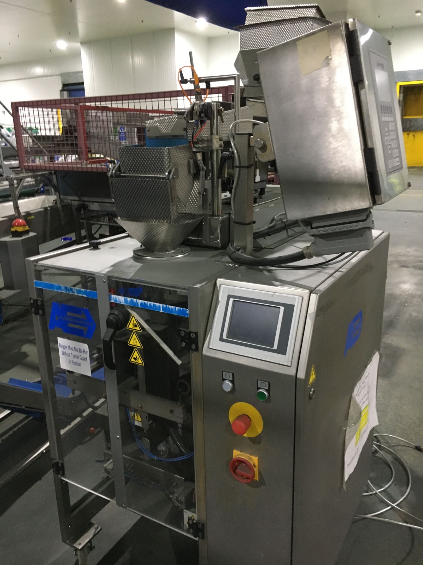 Audion Electron Vertical Form, Fill & Seal Machine with an Easiweigh liner weigher mounted on top.