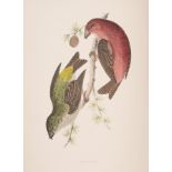 Morris (Rev. Francis Orpen) A History of British Birds, 6 vol., fifth edition, 400 hand-coloured …