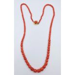 Collana composta da barilotti lisci di corallo rosso mediterraneo A red mediterranean coral …