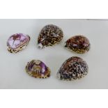 A collection of five Cowry shells to include two carved examples (5)