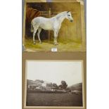 Severn Watercolour of a Horse, unframed, 40 x 35cm, together with a black and white photograph of