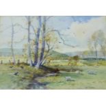 Tom Campbell Country Landscape with Sheep by a Stream Watercolour, signed bottom left, in a glazed