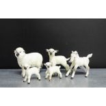 A collection of Beswick animals to include a ewe and three lambs, together with a grey horse,