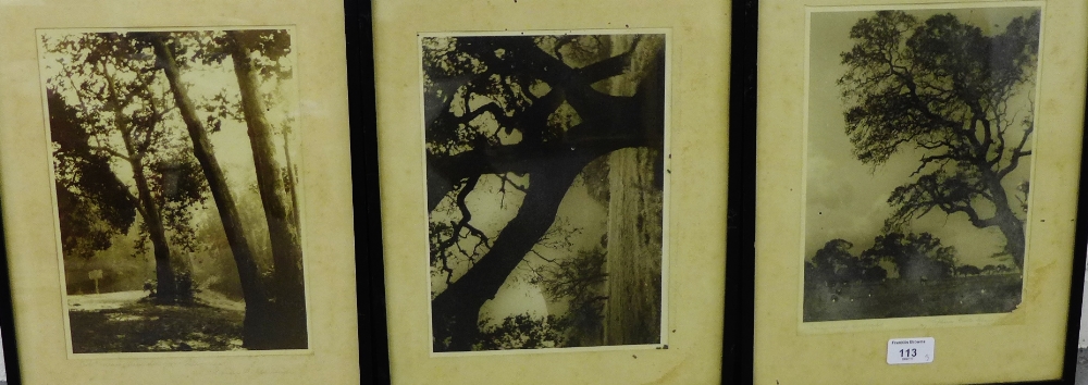 A group of three framed black and white photographs of California (3)