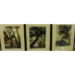 A group of three framed black and white photographs of California (3)