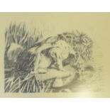 Tony Coss 'Two Lions Drinking Water' Print, in a glazed frame, 58 x 45cm