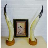 A pair of horns mounted on circular wooden bases, 71cm high, together with a gilt framed print of