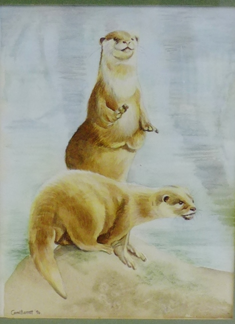 Carol Barrett (Artist in residence at Edinburgh Zoo) 'Otters' Watercolour, signed and dated '94,