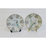 A pair of Chinese porcelain plates, likely 18th century, painted with flowering plants, with a