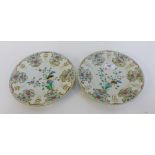 A pair of Chinese porcelain plates, likely 18th century, painted with flowering plants, with a