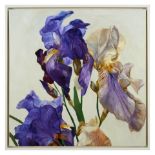 Jelly Green Benton Irises oil on canvas 102 x 102cm (109 x 109cm) Jelly Green (b.