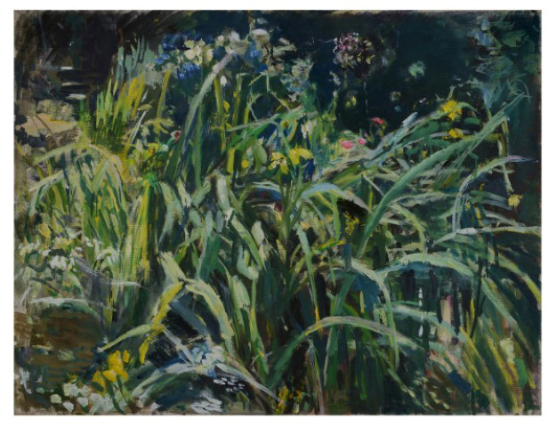 Anthony Eyton Yellow Water Irises oil 61 x 79.5cm Anthony Eyton RA (b.