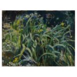 Anthony Eyton Yellow Water Irises oil 61 x 79.5cm Anthony Eyton RA (b.