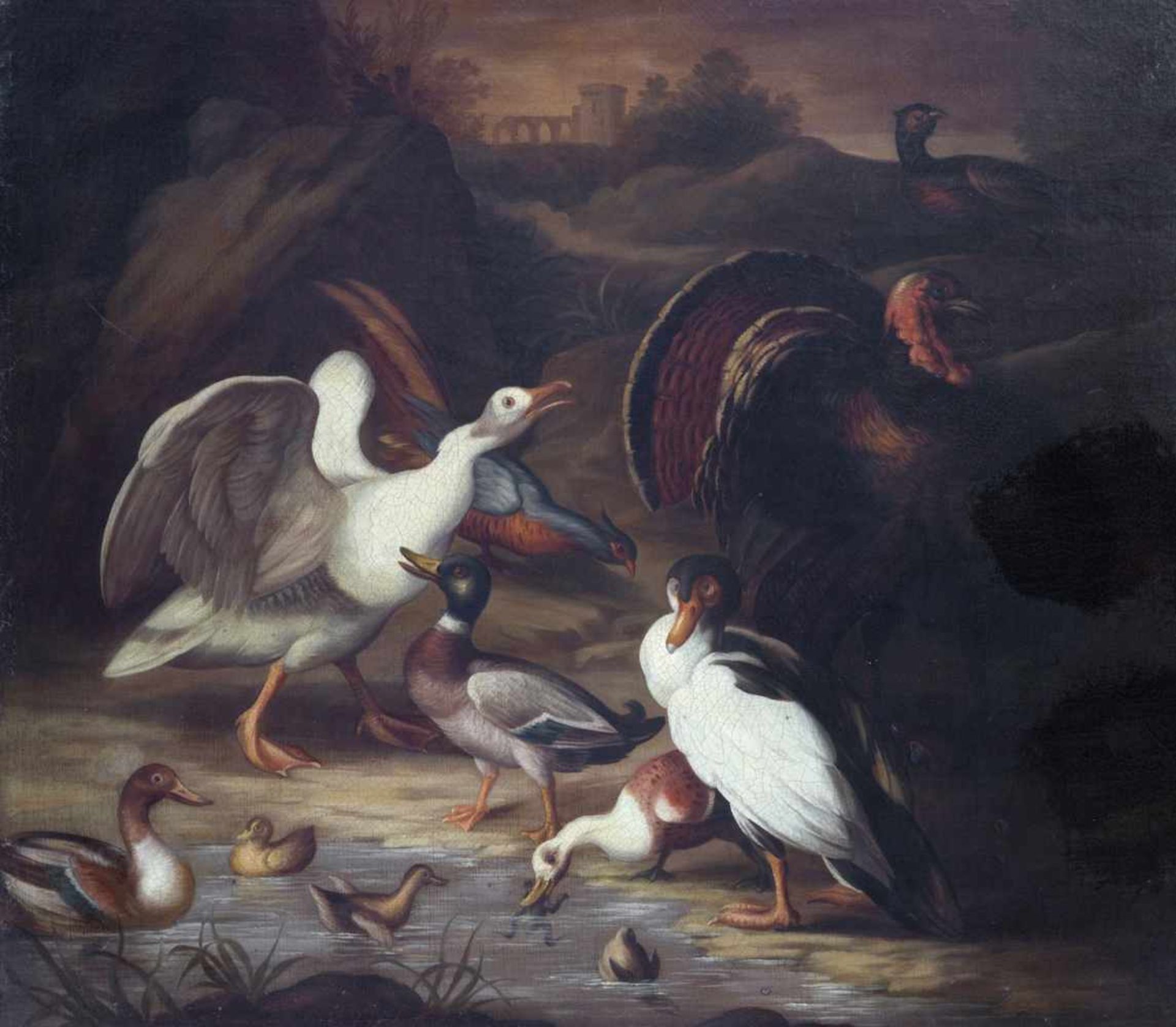 CRADOCK Marmaduke (attribué à), 1660 - 1717 [GB].Canards et dindons, huile sur toile (74.5 x 85 cm).