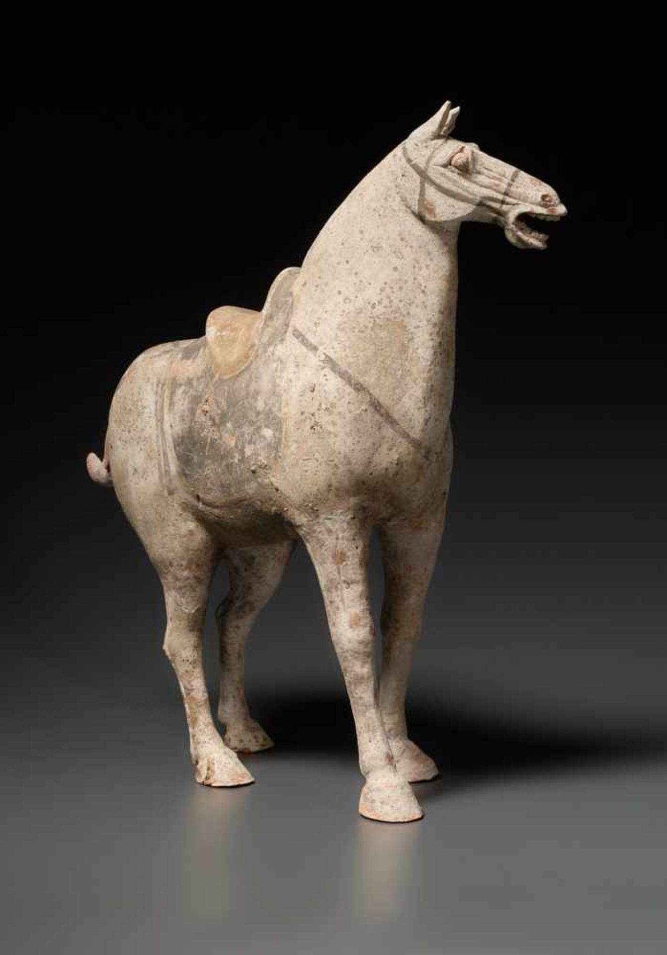 GESATTELTES PFERD Terrakotta mit Bemalung, China. Tang-Dynastie (618 - 905)Dieses Pferd hat einen - Image 2 of 4