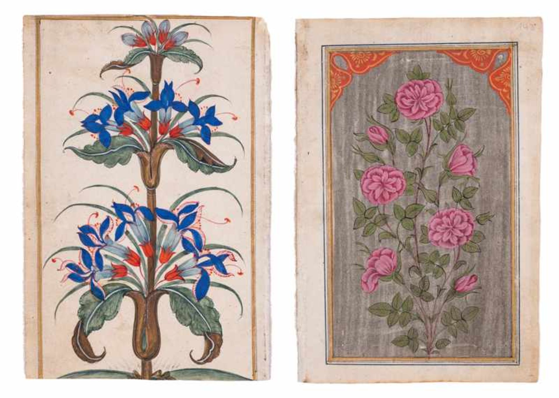 TWO PAGES WITH PICTURES OF BLOSSOMS Miniature painting. Paint on paper. Northern India, Kashmir,