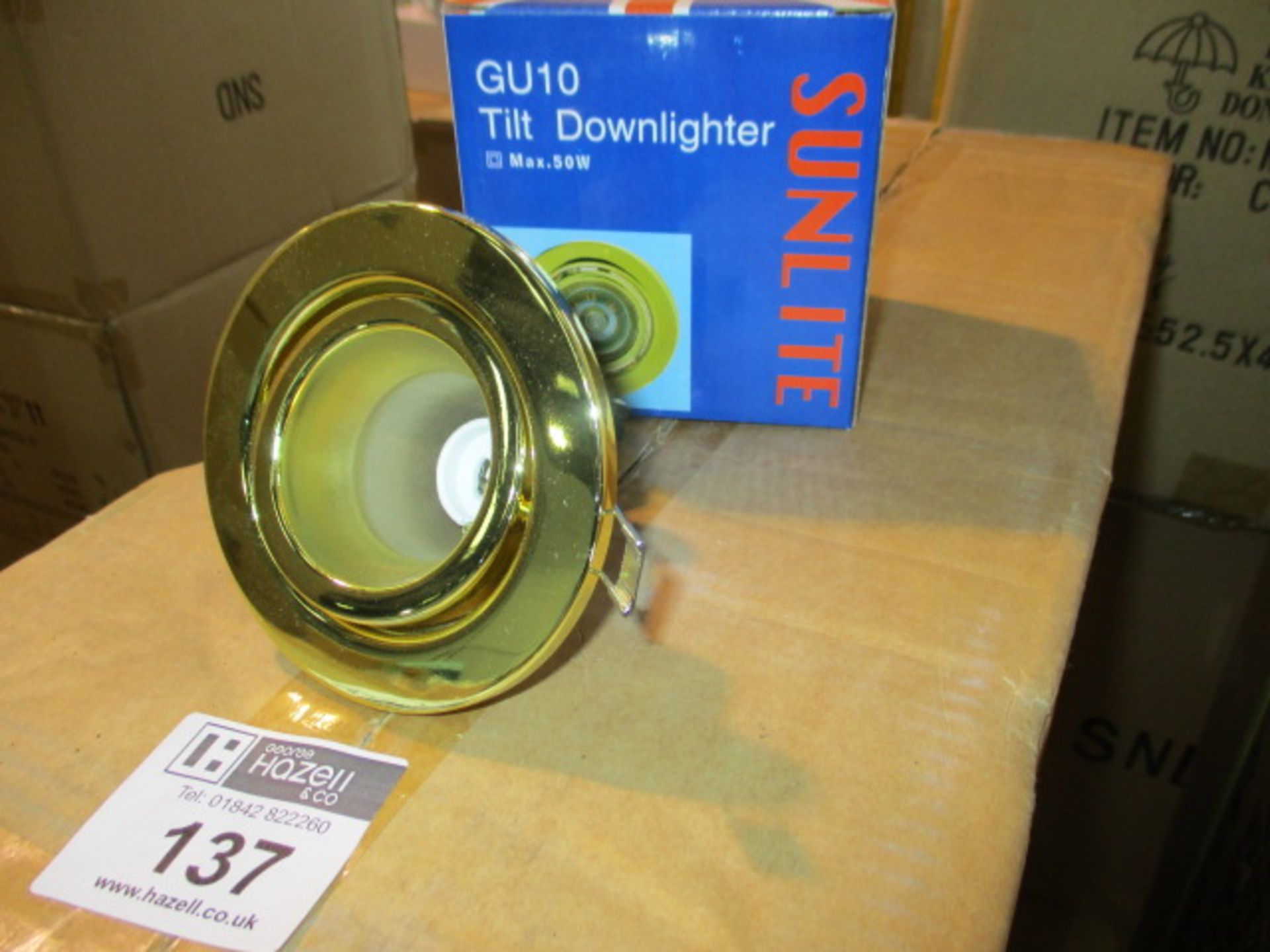 50 X GOLD TILT DOWNLIGHTS