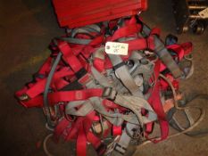Quantity of various safety harnesses as lotted
