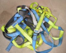 4 - personnel safety harnesses