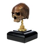 Memento mori in Form eines kleinen Schädels Höhe: 9 cm. Breite: ca. 6,5 cm. Tiefe: ca. 8,5 cm.