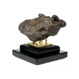Campo del Cielo Meteorit Höhe: ca. 15 cm. Länge: ca. 28,5 cm. Tiefe: ca. 15 cm. Argentinien. Der